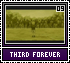 Third Forever09